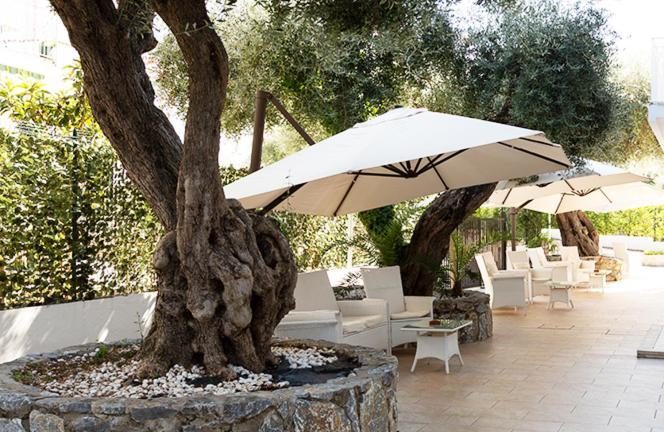 Hotel Parthenius Cirella Di Diamante ภายนอก รูปภาพ